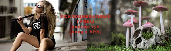 каннабис Белокуриха