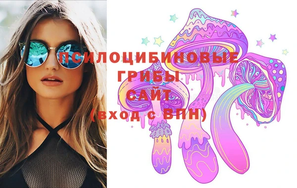 каннабис Белокуриха